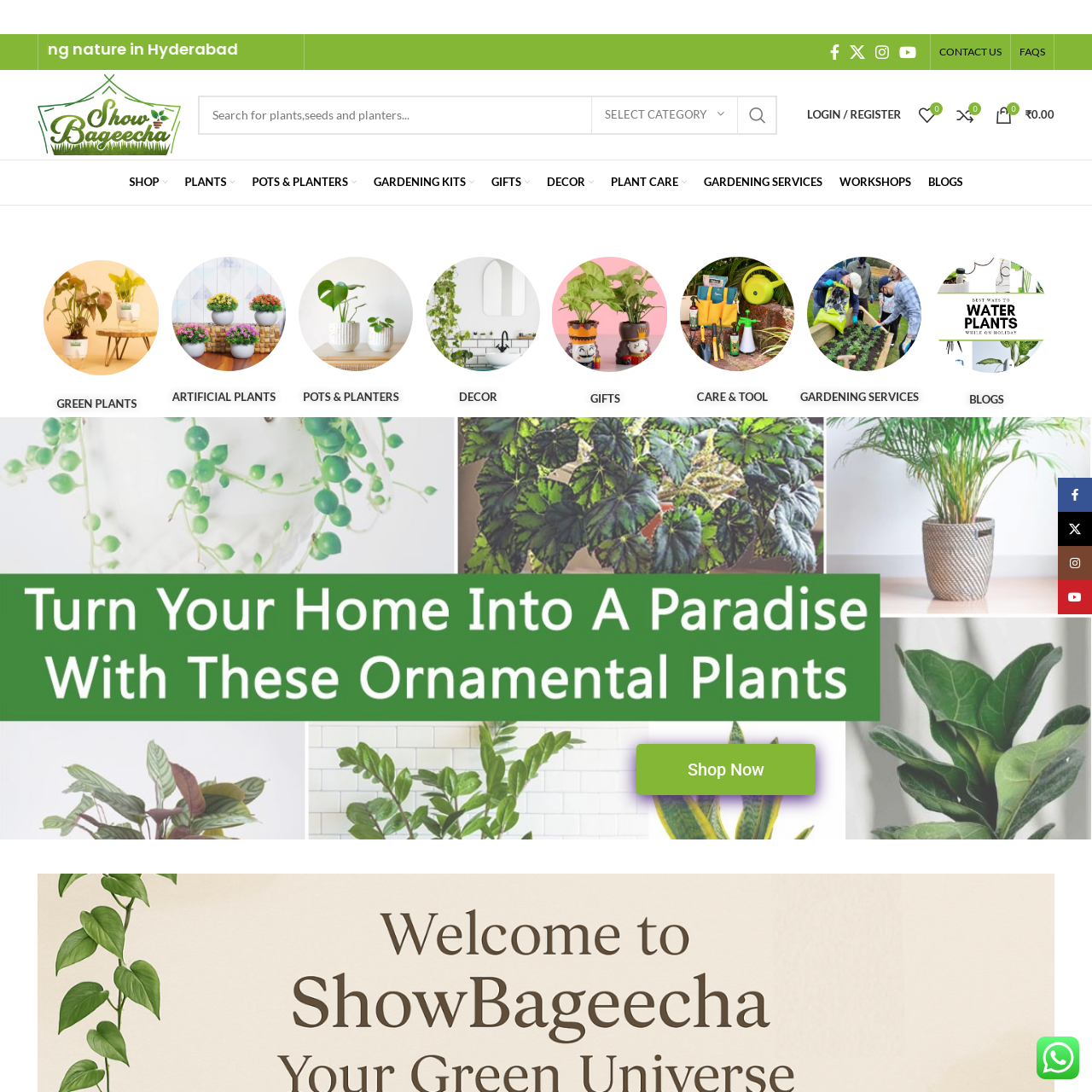 Show Bageecha